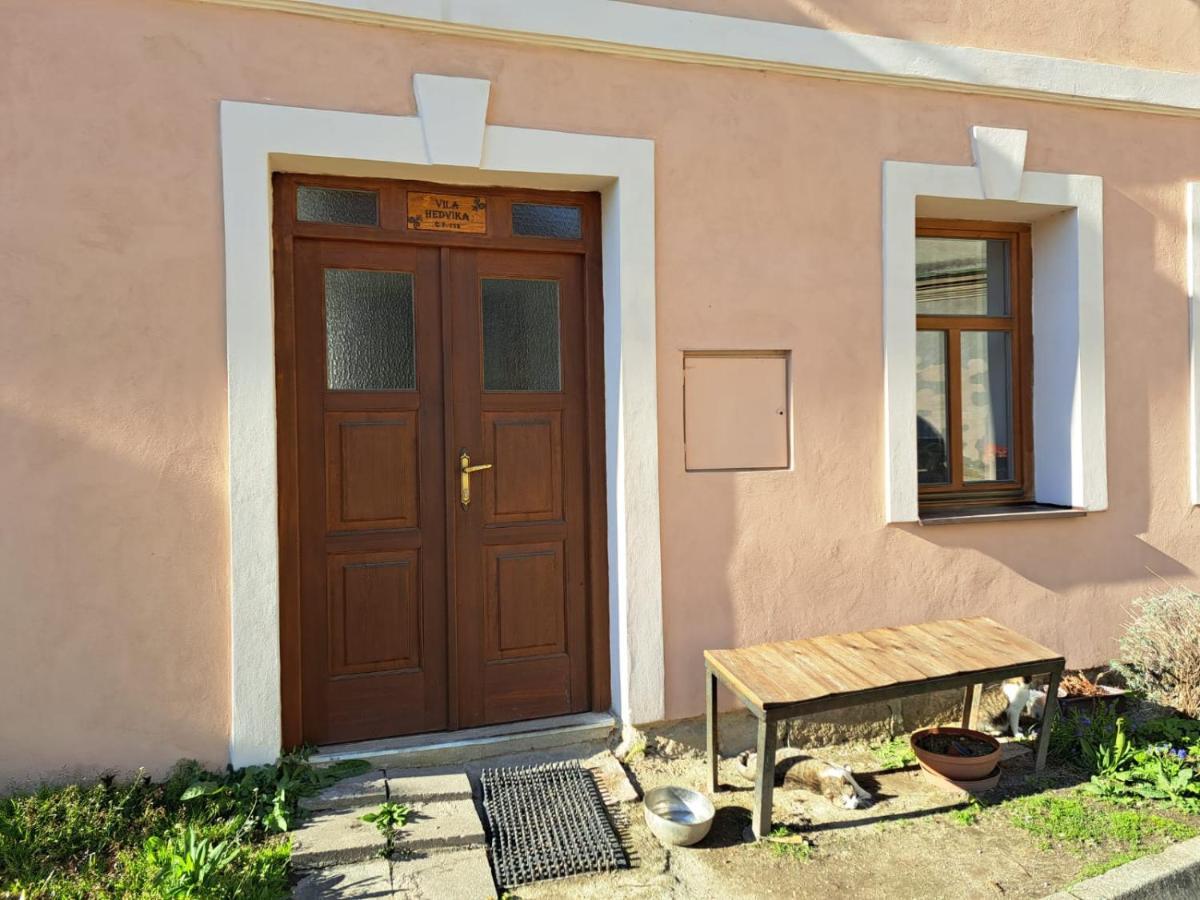 Vila Hedvika Nove Hrady  Exterior photo